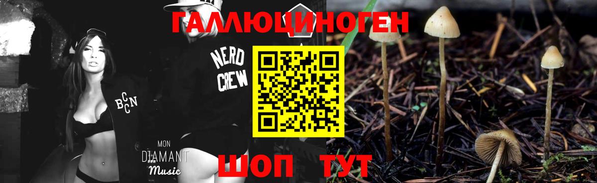 Псилоцибиновые грибы MAGIC MUSHROOMS  Вход с VPN  Галлюциногенные грибы MAGIC MUSHROOMS  Бутурлиновка 